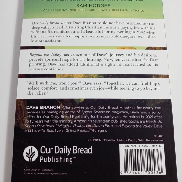🏖 Beyond the Valley: Finding Hope In Lifes Losses by Dave Branon NIB - Picture 2 of 2